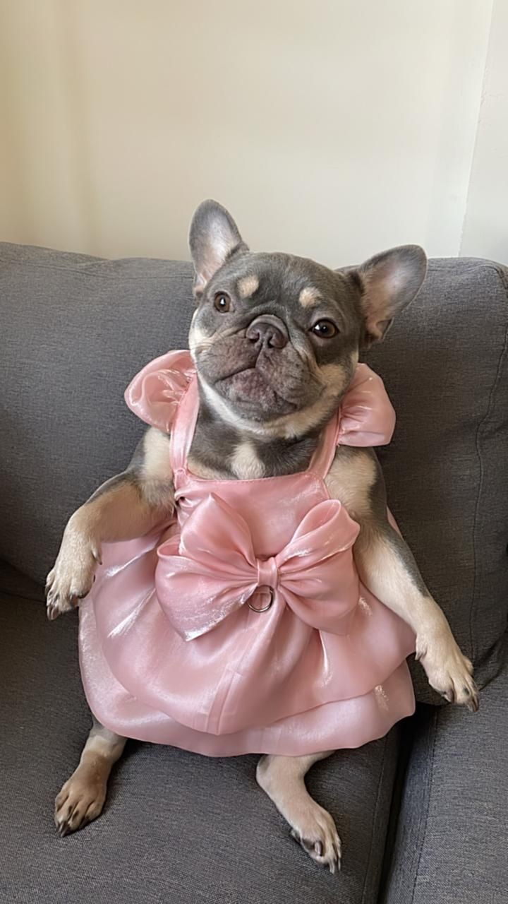 No me Gustó El Outfit!!